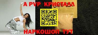 спиды Кингисепп