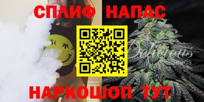 крисы Камышлов