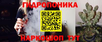 мяу мяу мука Канаш