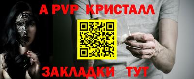 крисы Камышлов
