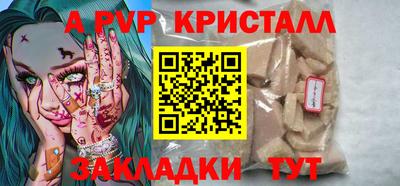 спиды Кингисепп