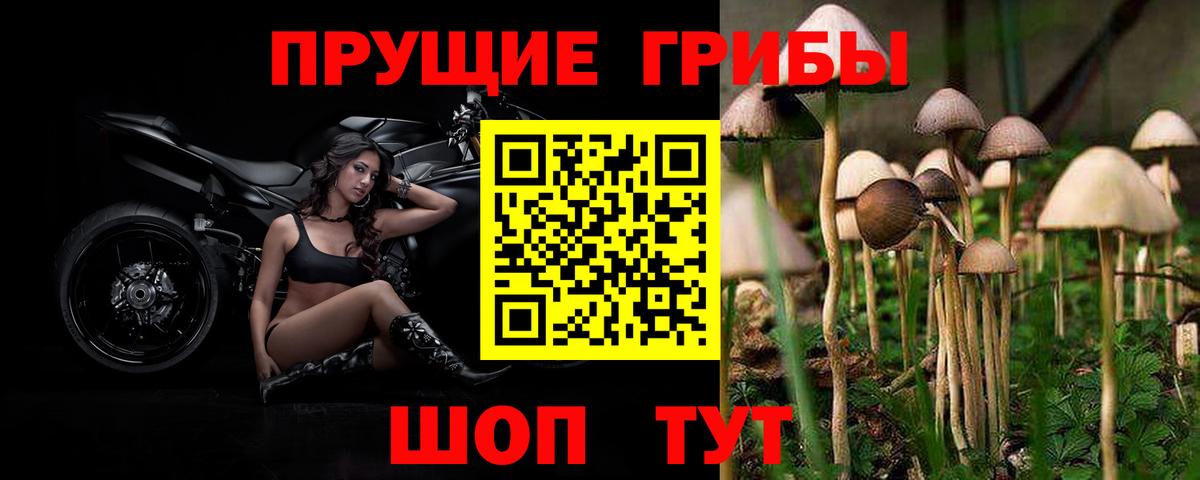 Псилоцибиновые грибы мухоморы Красный Сулин