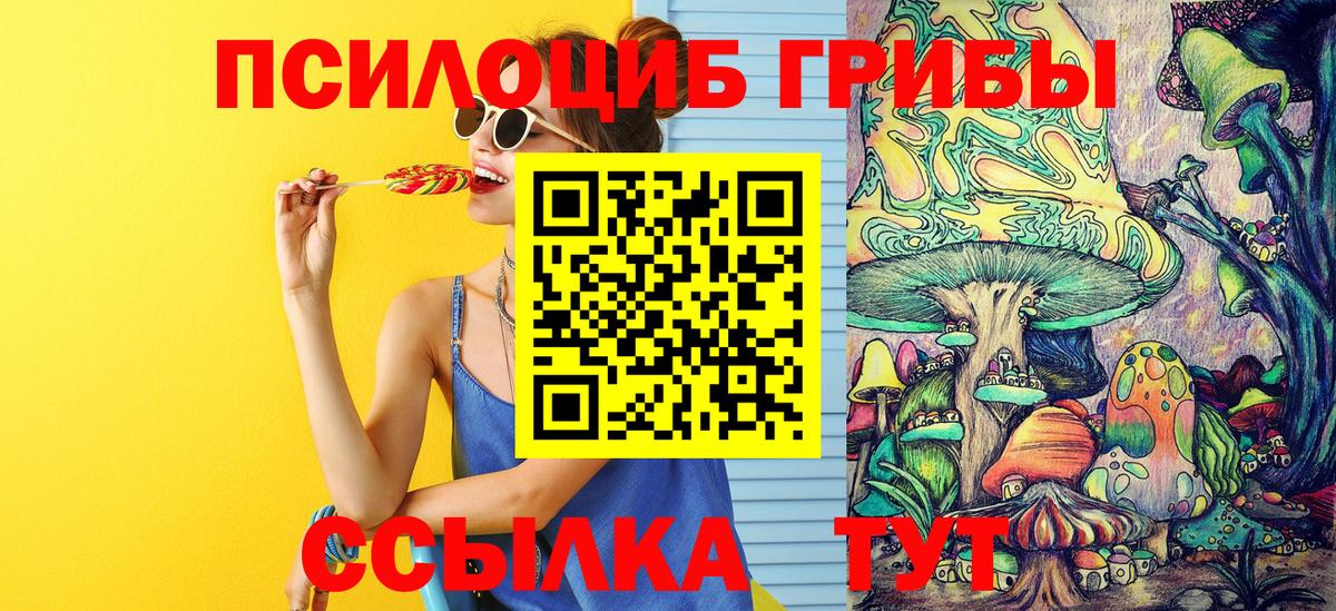 Галлюциногенные грибы Cubensis  Вход с VPN  Галлюциногенные грибы Psilocybine cubensis  Красный Сулин 
